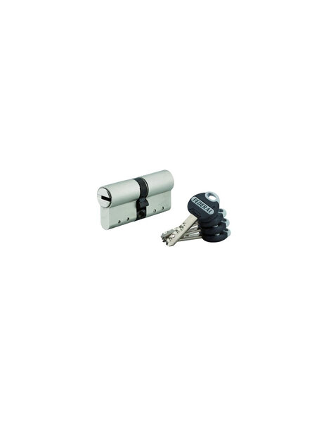 THIRARD - Cylindre de serrure double entrée Federal   30x30mm  nickel  anti-arrachement  anti-perçage  4 clés
