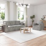 vidaXL Canapé 2 Pièces Gris clair 198 x 78 x 80 cm Velours