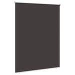 vidaXL Store roulant extérieur protection UV Anthracite Polyester
