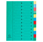 Trieur Harmonika fenêtres imprimées sans élastique Nature Future carte lustrée 24 c... EXACOMPTA