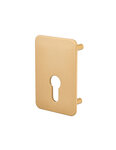 THIRARD - Plaque de renfort cylindre profilé pour verrou Capital  fixation par vis  époxy bronze  - THIRARD