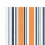 vidaXL Tissu de remplacement pour auvent rayures multicolores 3 5x2 5m