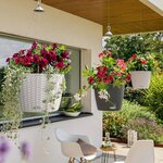 LECHUZA Jardinière suspendue NIDO Cottage 28 ALL-IN-ONE Blanc