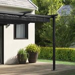 vidaXL Gazebo mural Anthracite Acier