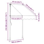 vidaXL Auvent rétractable anthracite 100x150 m tissu et acier