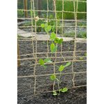 Nature Filet pour plantes grimpantes en jute 1 8x5 m naturel
