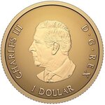 Pièce de monnaie en Or 1 Dollar g 0.5 Millésime 2026 CANADA ARBOREAL EMBLEM