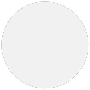 vidaXL Protecteur de table mat Ø 100 cm 1 6 mm PVC