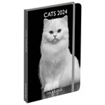 Agenda de poche 2025 - Chats noir et blanc - Draeger