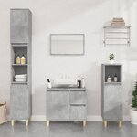 vidaXL Ensemble d'armoires de salle de bain 3 Pièces gris béton