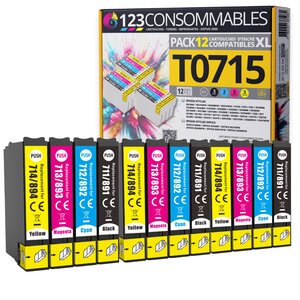 123CONSOMMABLES - T0715-12 Cartouches E711-E712-E713-E714 Compatible pour Epson T0715 - Compatible avec Epson Stylus SX218 SX400 SX510W SX515W DX7450 DX8450 (3 Noir / 3 Cyan / 3 Magenta / 3 Jaune)