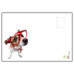Carte pour une MAMAN d'Amour Message Humoristique avec Enveloppe Illustrée format 17 5x12cm Grenouille Verte Animal Drôle Amusant Rigolo avec Baguette Magique Création Fabrication française 69-6216