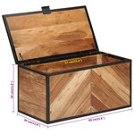 vidaXL Boîte de rangement 60x30x30 cm bois massif d'acacia et fer
