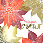 Carte Meilleurs Vœux avec Enveloppe Blanche 15x15cm