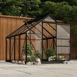 vidaXL Serre en verre Anthracite 155x200 5x191 cm Aluminium