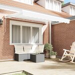 vidaXL Cadre d'auvent Blanc 300 x 200 cm Polyester avec revêtement PU