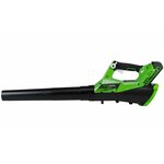 Greenworks souffleur de feuilles avec batterie 40v g40ab 2400807ua