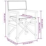 vidaXL Chaises de metteur en scène pliantes lot de 2 Bois teck massif
