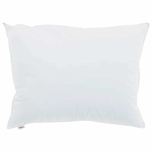 vidaXL Oreiller avec oreiller 2 Pièces Blanc 40 x 60 cm Coton
