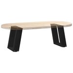 vidaXL Pieds de table basse en U 2 pièces Noir 30 x (30-31) cm Acier