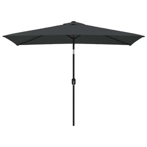 vidaXL Parasol d'extérieur avec mât en métal 300x200 cm anthracite