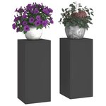 vidaXL Support de Plante 2 Pièces Noir 24 x 24 x 55 cm Acier