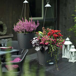 LECHUZA Jardinière suspendue NIDO Cottage 28 ALL-IN-ONE Granite