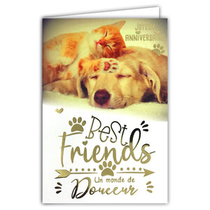 Carte Joyeux ANNIVERSAIRE Chien et Chat Meilleurs Amis du Monde Texte en Or Doré Brillant et Enveloppe 12x17 5cm Labrador Golden Retriever Animaux de compagnie Mignons Câlin Doux Photo Vintage