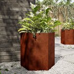 vidaXL Jardinières 2 Pièces hexagone 46x40x45 cm acier patinable
