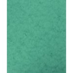 Lot de 10 protège-cahiers avec 2 grands rabats 18 x 22 cm en carte lustrée vert