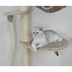 Kerbl Arbre à chat mural Dolomit Grappa 158 cm Taupe