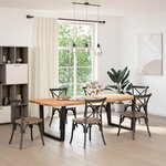 vidaXL Pieds de table à manger en forme de V  2 pièces  noir  100 x (72-73 3) cm  acier