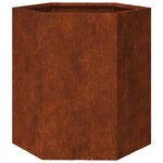 vidaXL Jardinières 2 Pièces hexagone 46x40x45 cm acier patinable