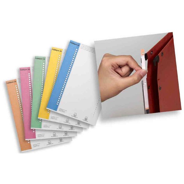 Étiquettes 6mmx296mm pour dossiers suspendus Nr. 9 couleurs assorties L'OBLIQUE AZ