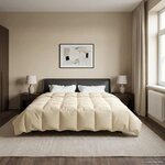 vidaXL Duvet complet toute l'année Crème 240 x 260 cm Microfibre