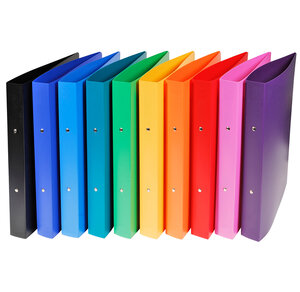 Classeur 2 anneaux 30 mm polypropylène Opaque - A4 maxi, couleurs aléatoires EXACOMPTA