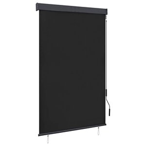 vidaXL Store roulant d'extérieur 120 x 250 cm Anthracite