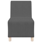 vidaXL Unité de Sofa Modulaire Sans Accoudoirs 2 Pièces Gris foncé