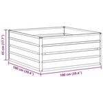 vidaXL Jardinière surélevée Marron Clair 100 x 100 x 45 cm