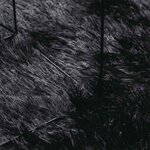 vidaXL Tapis shaggy à poils longs NAVARRA Noir 200x290 cm polyester