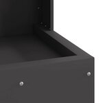 vidaXL Braise Noir 35 x 35 x 100 cm Acier laminé à froid