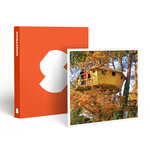 SMARTBOX - Coffret Cadeau 3 jours insolites en cabane perchée dans les arbres avec accès au spa près de Carnac - Séjour