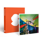 SMARTBOX - Coffret Cadeau Vol en aéroplume de 20 min avec 2 accompagnants au sol dans une grotte près d'Alès -  Sport & Aventure