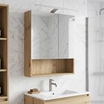 vidaXL Armoire Miroir de Salle de Bain Chêne artisan 50 x 14 5 x 70 cm