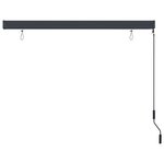 vidaXL Store roulant d'extérieur 170 x 250 cm Anthracite