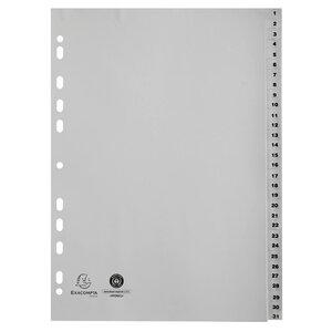 Intercalaires Imprimés Numériques Pp Recyclé Gris - 31 Positions - A4 - Gris - X 20 - Exacompta