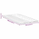 vidaXL Coussins de Matelas Blanc 120 x 200 cm Polyester sans colle