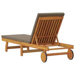 vidaXL Transat 1-personne Marron 63 x 199 x 85cm Bois d'acacia massif