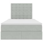 vidaXL Lit avec rangement et LED Gris clair 120 x 190 cm Velours