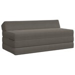 vidaXL Canapé-lit pliable Gris clair 120 x 60 x 49 cm Tissu